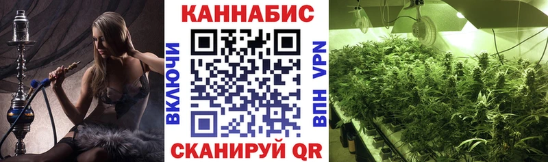 Купить закладку COCAIN  Alpha-PVP  Каннабис  Меф  Кириши
