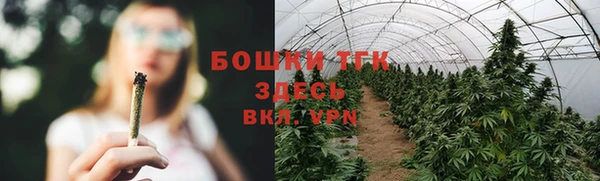 ECSTASY Елабуга