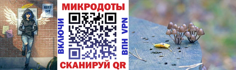 Купить где  Кириши  Псилоцибиновые грибы GOLDEN TEACHER 